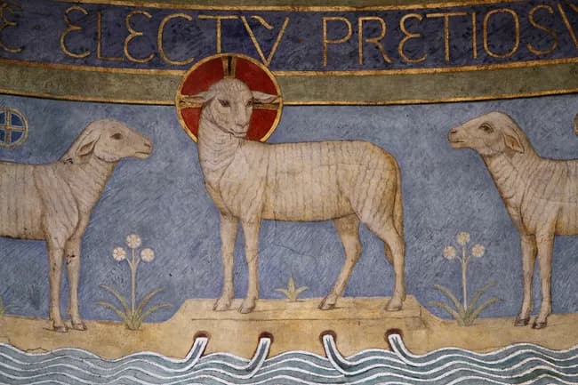 Wiesz co symbolizują baranki młode w liturgii Kościoła? Znaczenie