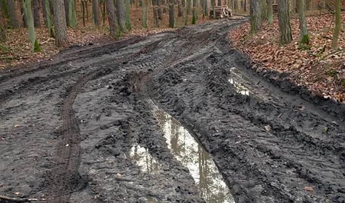 Tajemnice drogi w lesie: rozwiązania krzyżówek i rozważania