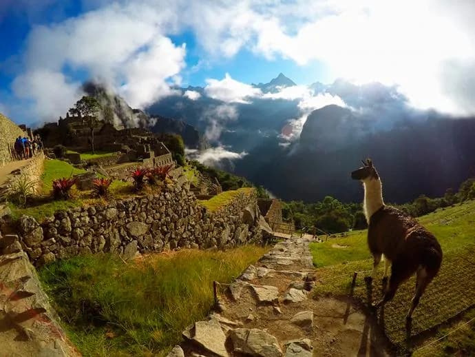 Krzyżówka: góry w Peru i Afryce, wyzwanie dla miłośników geografii