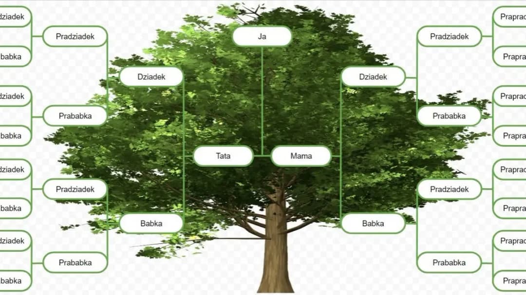 Jakie tajemnice kryje drzewo genealogiczne Adama i Ewy? Badamy